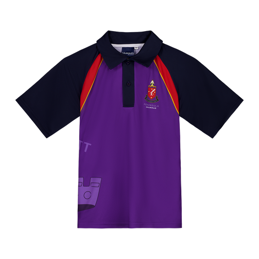 House Polo - Ansett House