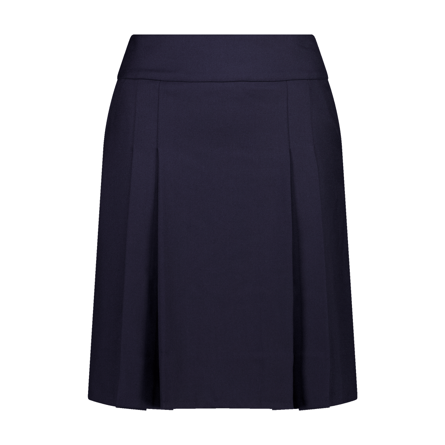 Navy Skirt