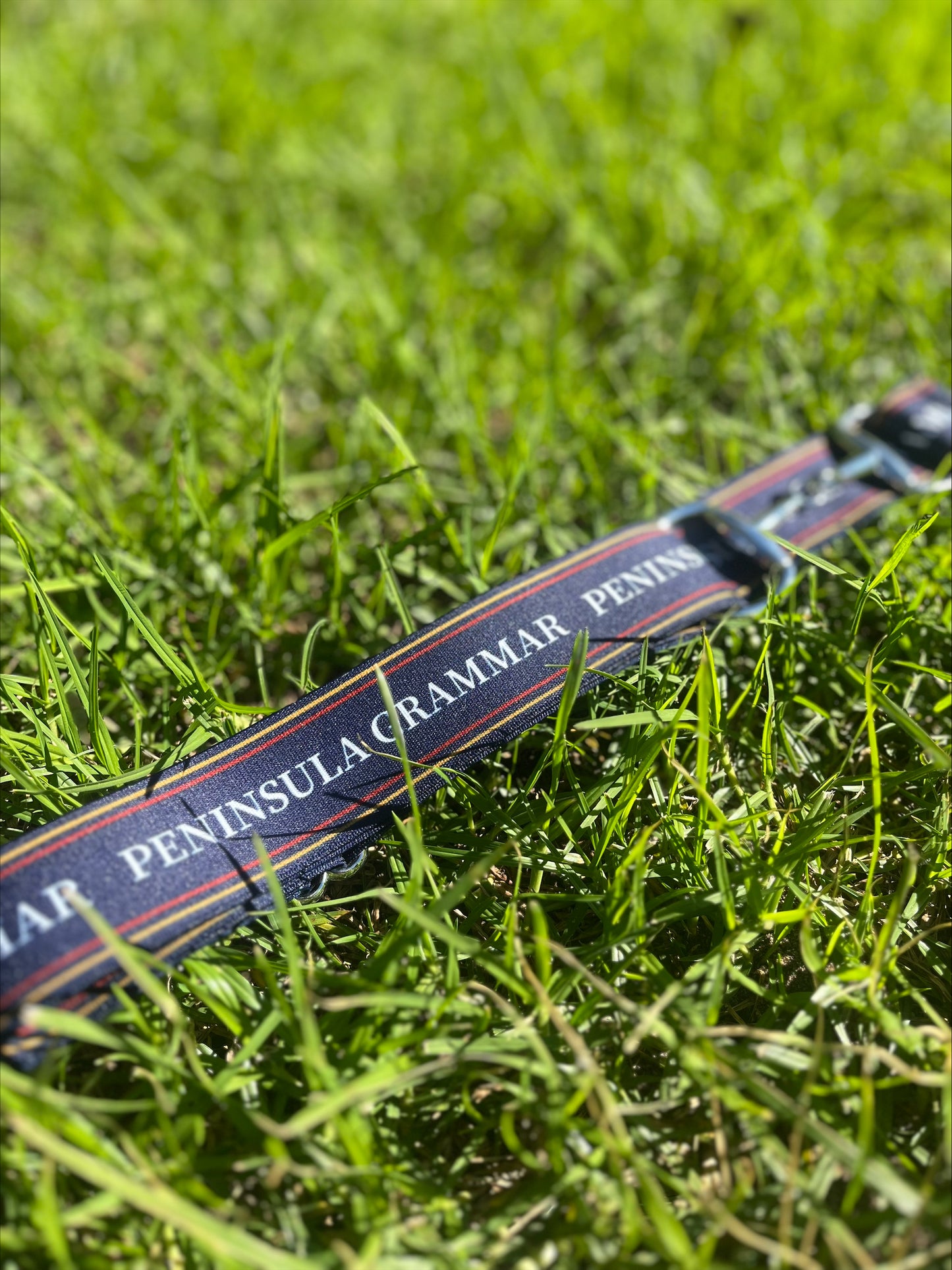 Equestrian Team Belts