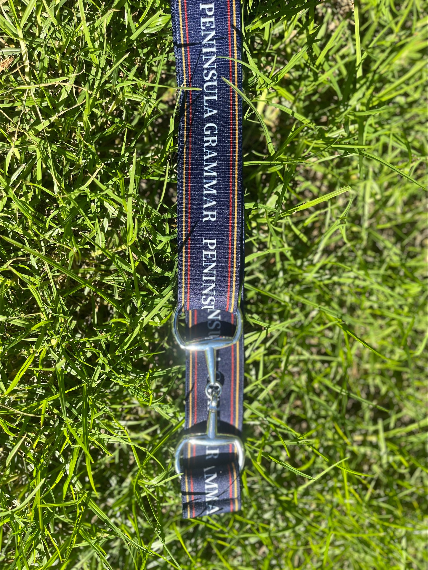 Equestrian Team Belts